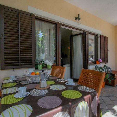 Apartment Sanja Novigrad Istria Exteriör bild