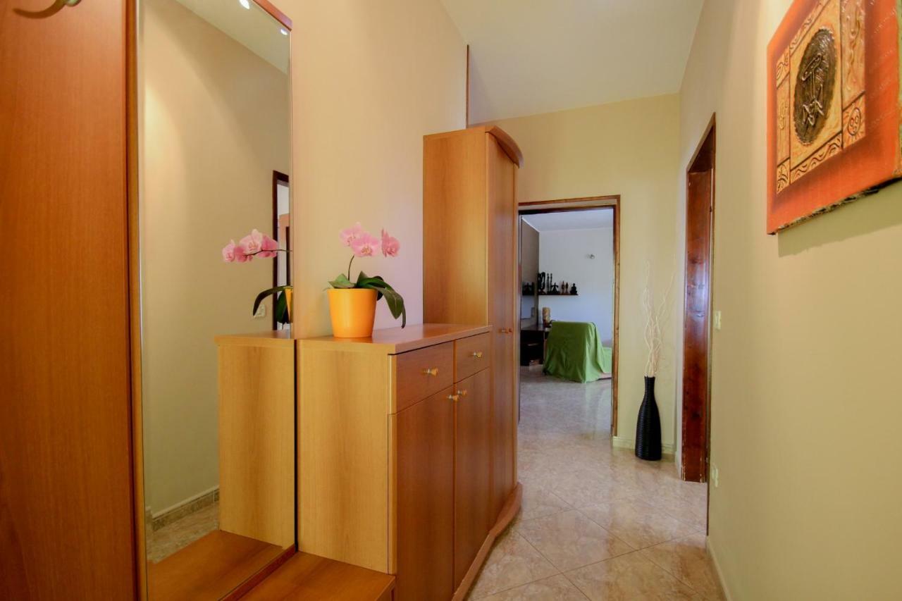Apartment Sanja Novigrad Istria Exteriör bild