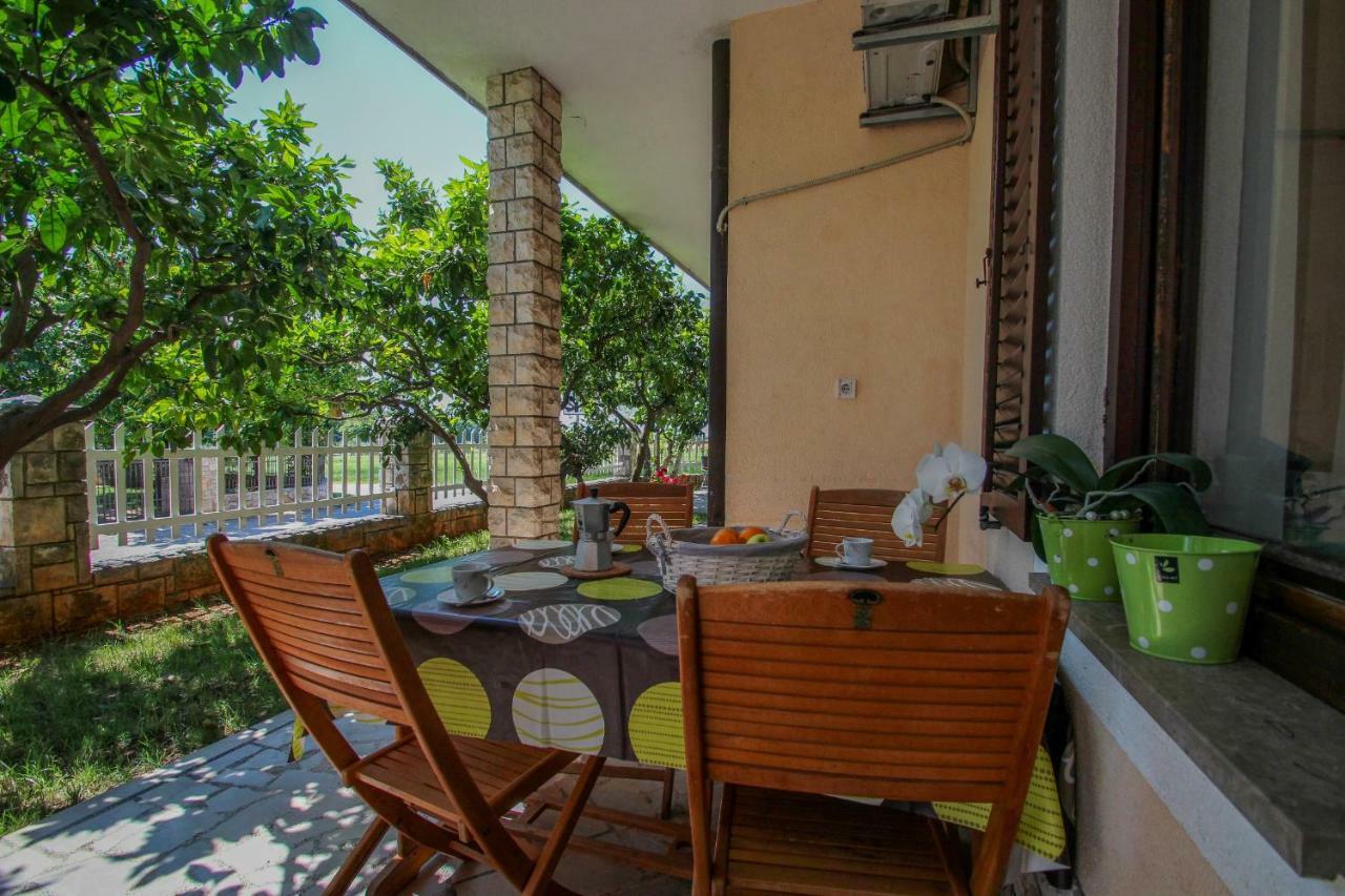 Apartment Sanja Novigrad Istria Exteriör bild
