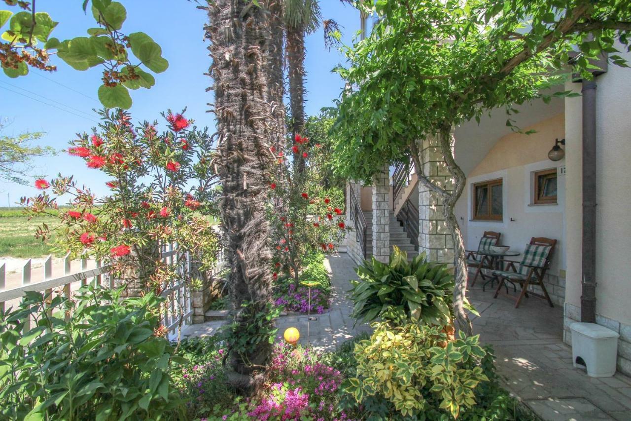 Apartment Sanja Novigrad Istria Exteriör bild
